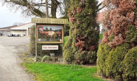 GAEC Intersaône Aboncourt-Gesincourt - Notre ferme d'exploitation bovine