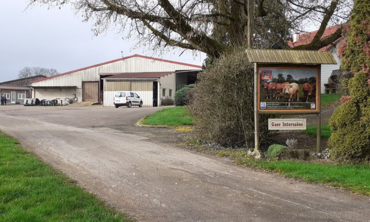 GAEC Intersaône Aboncourt-Gesincourt - Notre ferme d'exploitation bovine